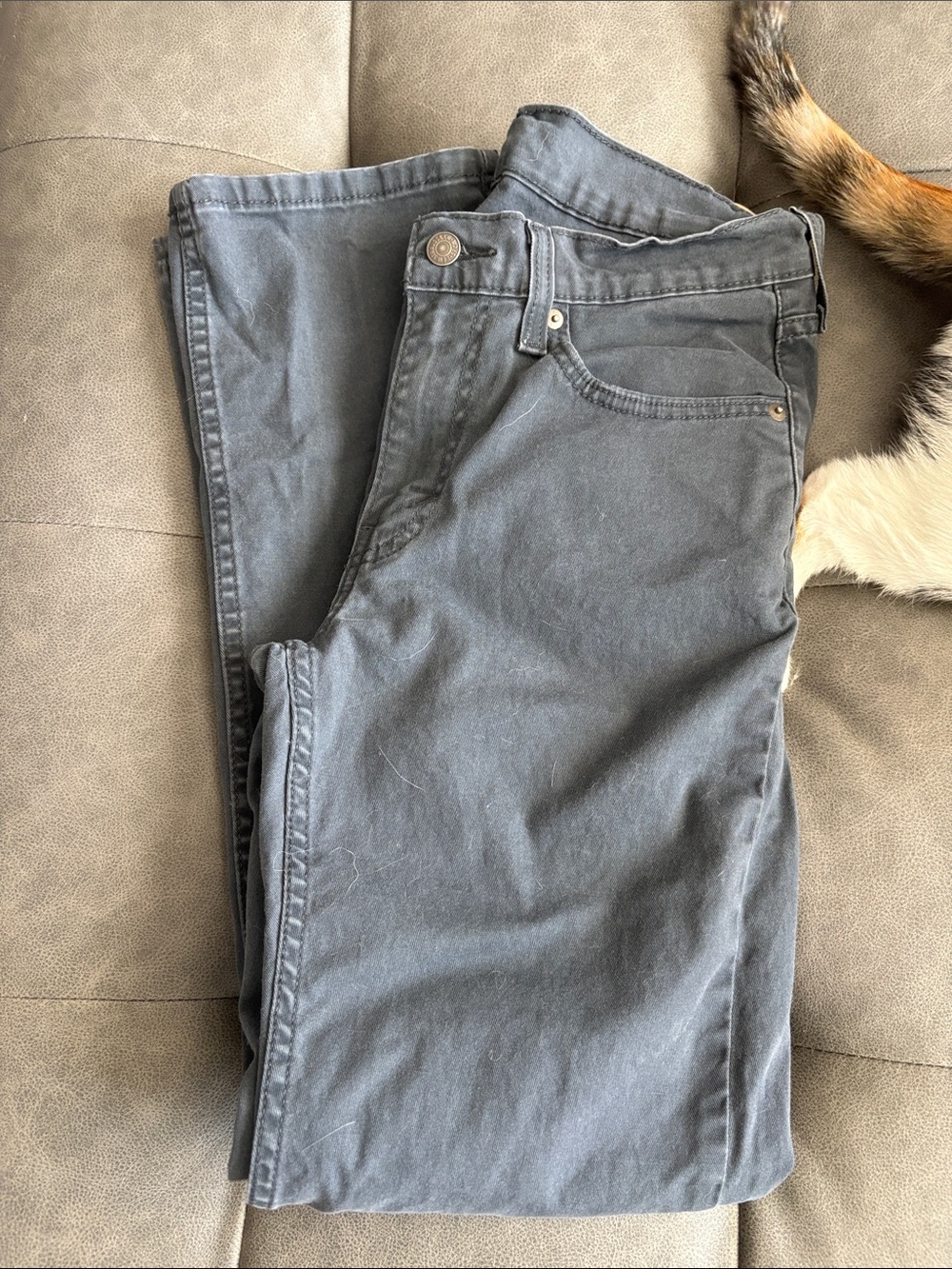 Levi's Women's Slate Gray Straight Leg Jeans